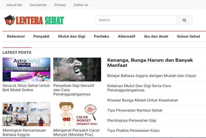 blog lentera sehat