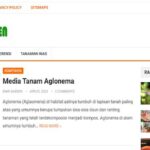 Blog Emir Garden