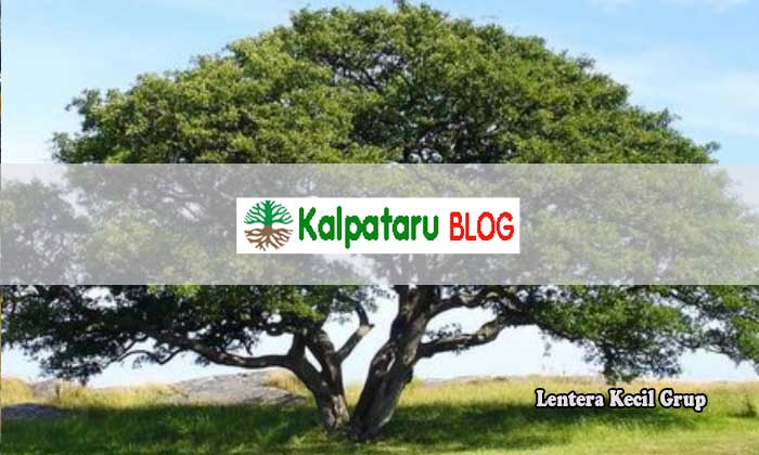 Blog Kalpataru