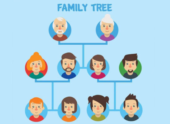 family tree